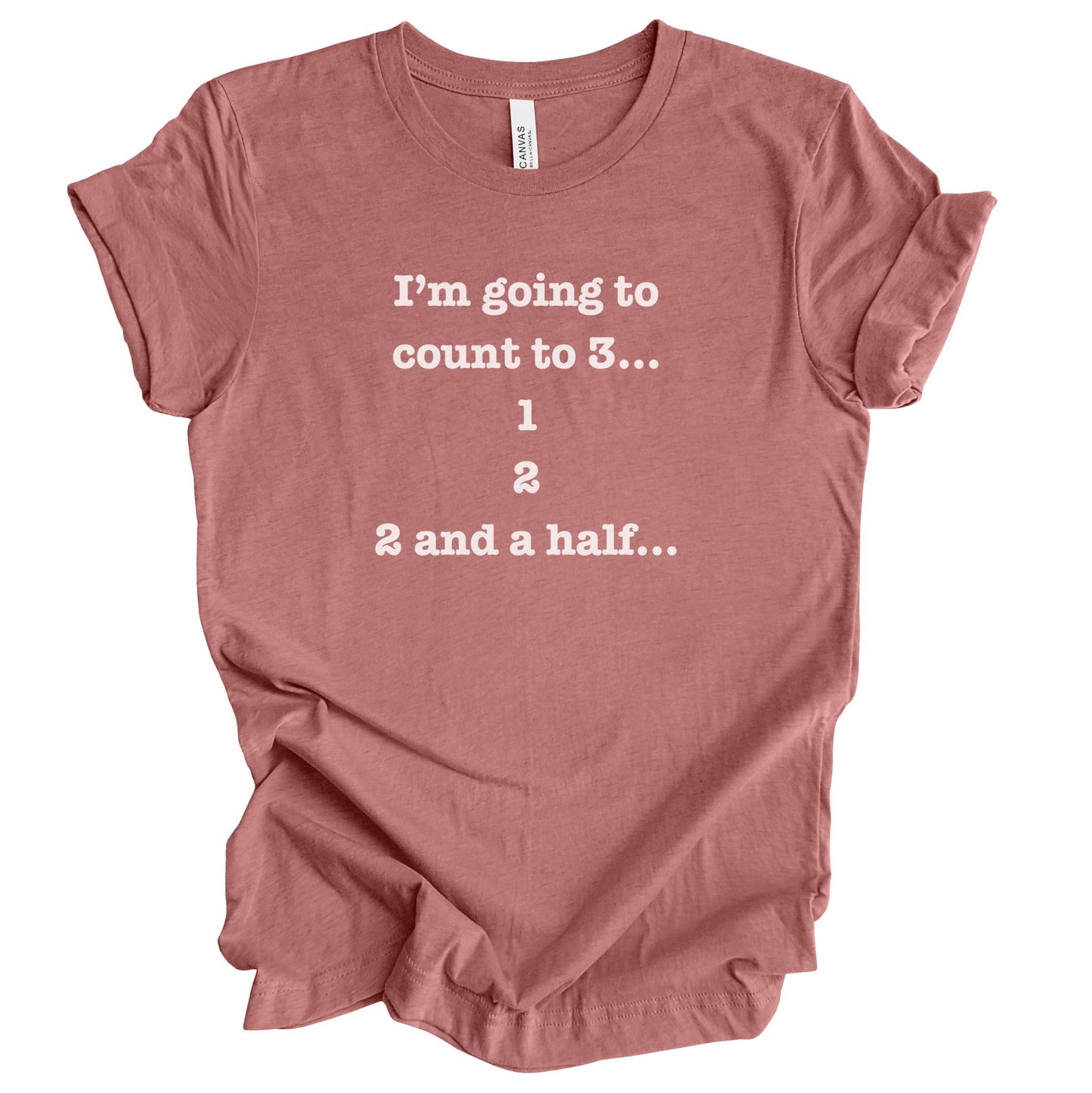 I'm Going To Count to 3 Premium Tee