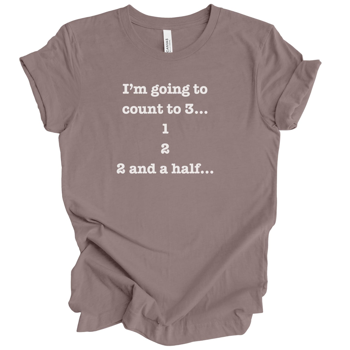 I'm Going To Count to 3 Premium Tee